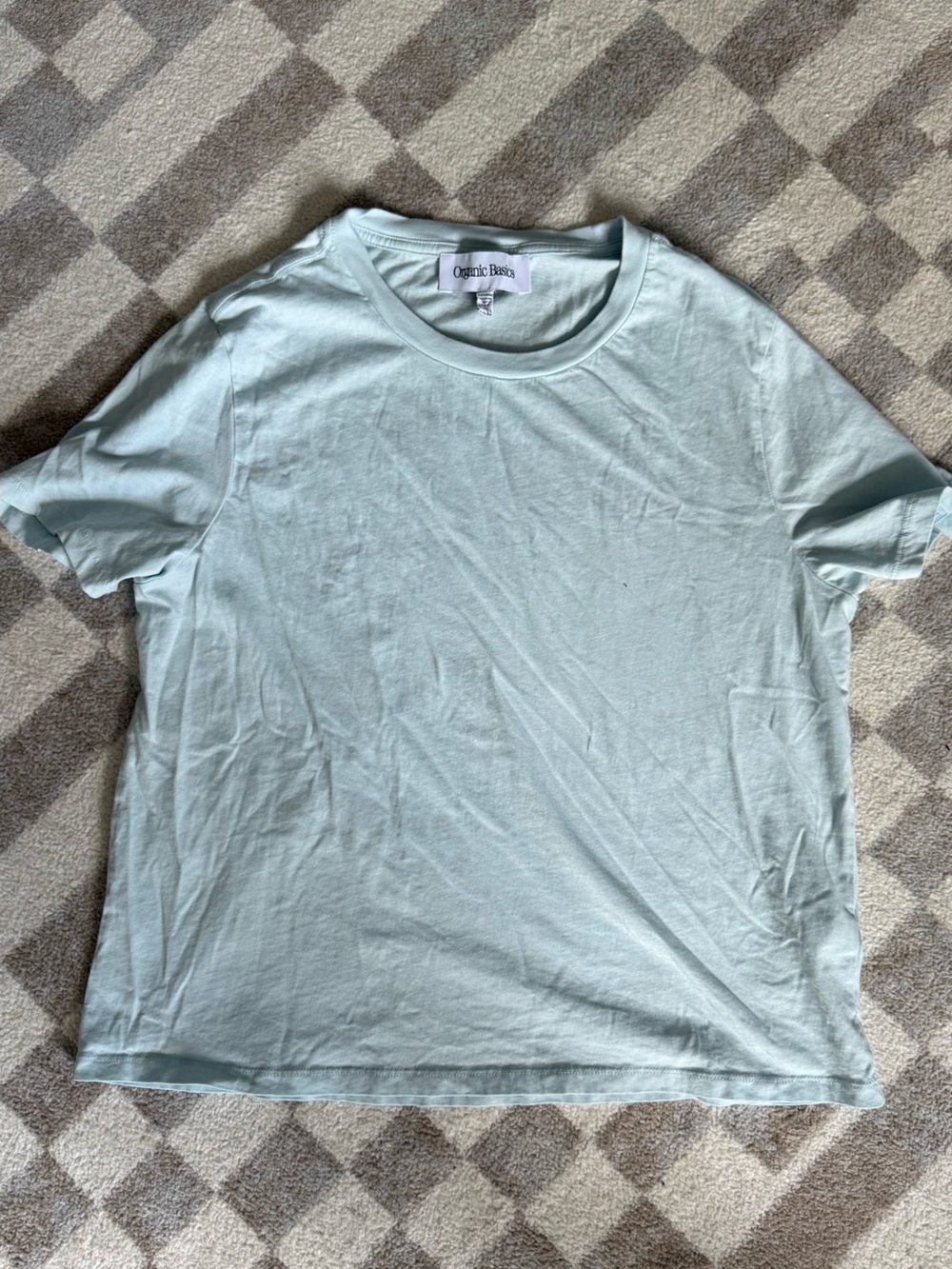 Organic Basics Light Mint Short Sleeve Crewneck Tee